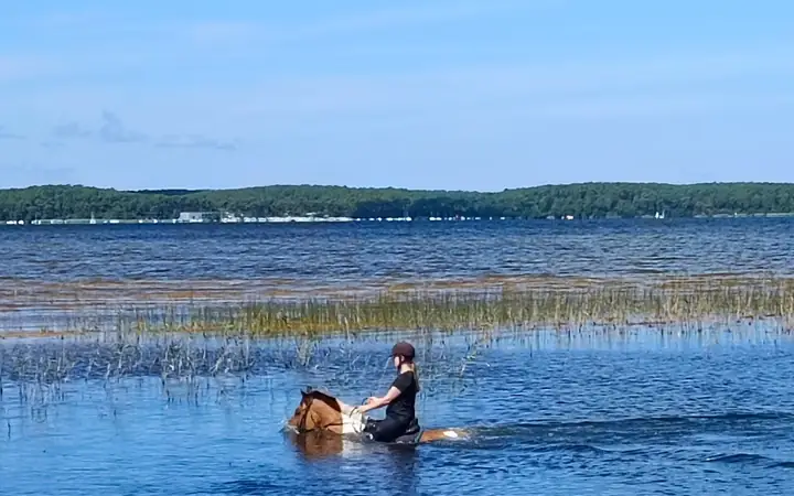 Lacanau Equi-Passion