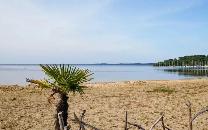 Le lac par la piste : Le Moutchic et Lacanau ville