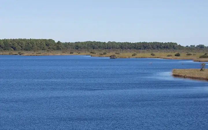Réserve naturelle de l'étang de Cousseau