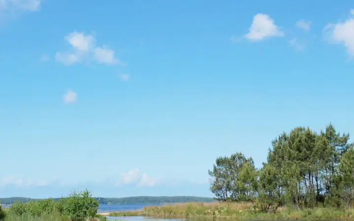 Sentier de la Berle, au bord du lac