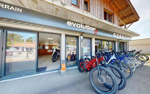 Une piste cyclable dans la pinède de Lacanau